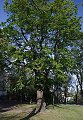 thn_pribram-lipy1.jpg